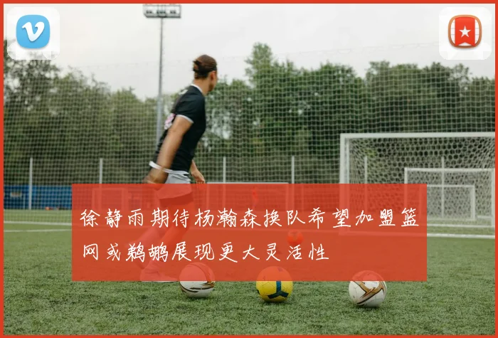 徐静雨期待杨瀚森换队希望加盟篮网或鹈鹕展现更大灵活性