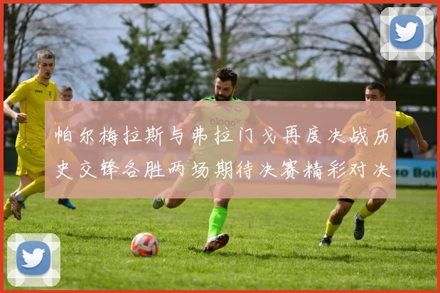 帕尔梅拉斯与弗拉门戈再度决战历史交锋各胜两场期待决赛精彩对决