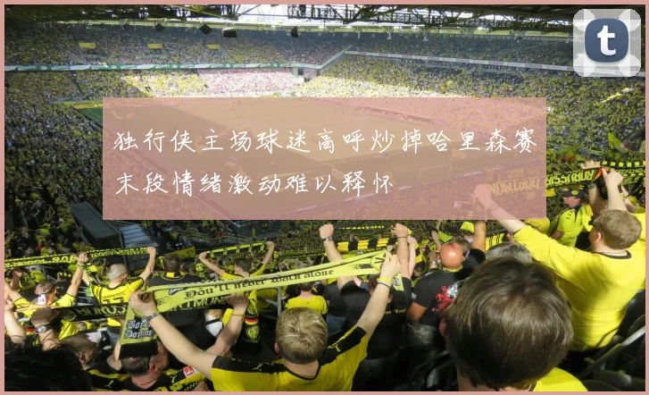 独行侠主场球迷高呼炒掉哈里森赛末段情绪激动难以释怀