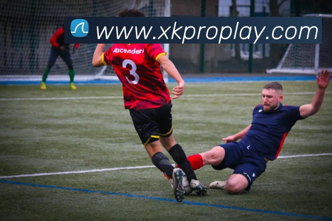 星空体育服务体系